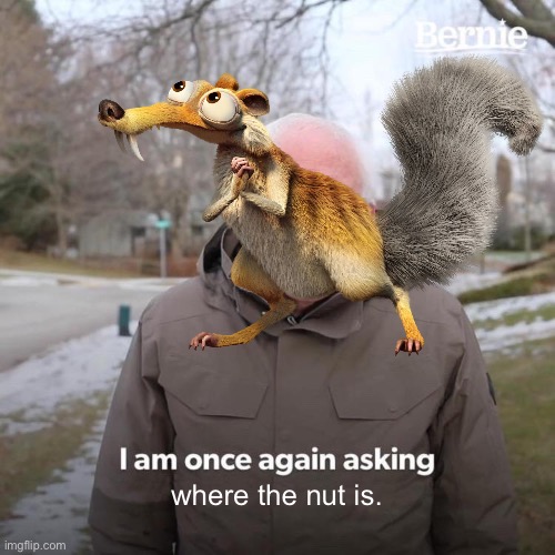 Scrat | where the nut is. | image tagged in fun,scrat | made w/ Imgflip meme maker
