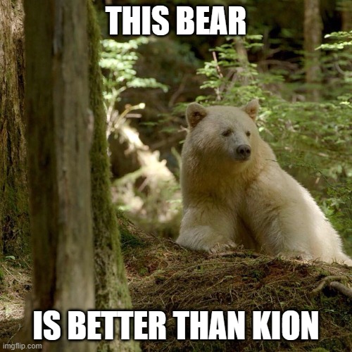 This is a Kermode bear. It's a white black bear. Did you know these existed? | THIS BEAR; IS BETTER THAN KION | image tagged in kermode bear | made w/ Imgflip meme maker