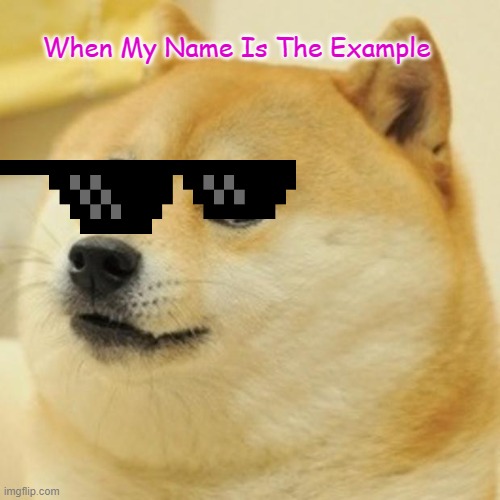 Doge Meme | When My Name Is The Example | image tagged in memes,doge | made w/ Imgflip meme maker