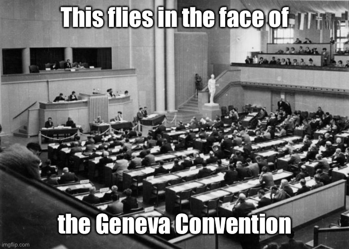 Geneva Convention | This flies in the face of the Geneva Convention | image tagged in geneva convention | made w/ Imgflip meme maker