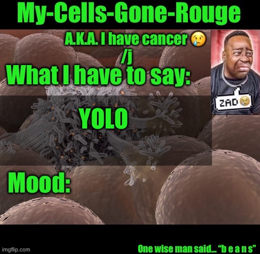My-Cells-Gone-Rouge announcement | YOLO | image tagged in my-cells-gone-rouge announcement | made w/ Imgflip meme maker
