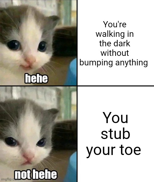 Cute cat hehe and not hehe | You're walking in the dark without bumping anything; You stub your toe | image tagged in cute cat hehe and not hehe | made w/ Imgflip meme maker