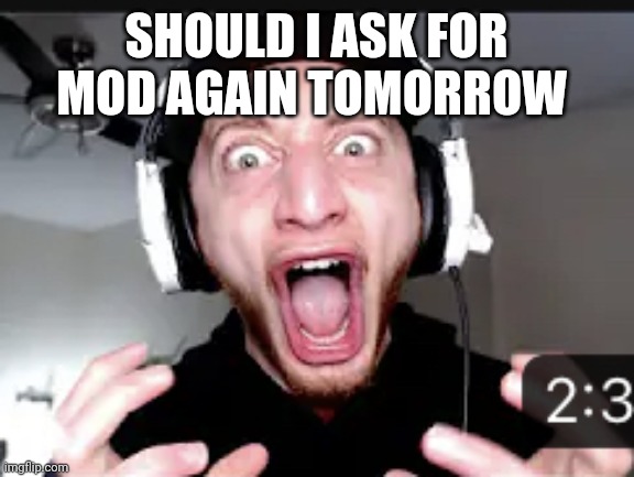 THE HELL?! | SHOULD I ASK FOR MOD AGAIN TOMORROW | image tagged in the hell | made w/ Imgflip meme maker