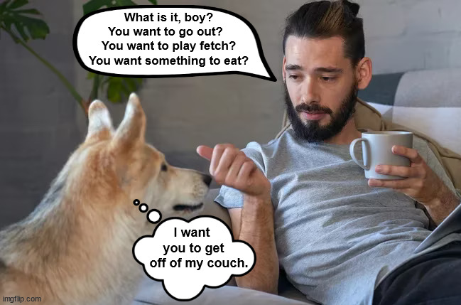 The Master’s List of Wants Doesn’t Appeal to His Dog | image tagged in dog,dogs,couch,master,funny,memes | made w/ Imgflip meme maker