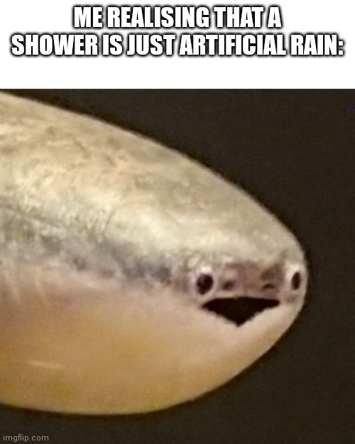 Shower thoughts? No no, rain thoughts | ME REALISING THAT A SHOWER IS JUST ARTIFICIAL RAIN: | image tagged in ancient,fish | made w/ Imgflip meme maker