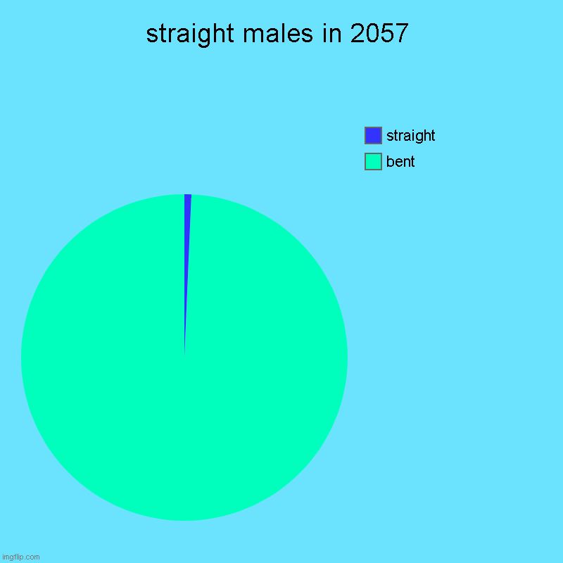 plez gyez gibh meh duh upbhot (lol) | straight males in 2057 | bent, straight | image tagged in charts,pie charts,straight,funny memes,911 9/11 twin towers impact | made w/ Imgflip chart maker