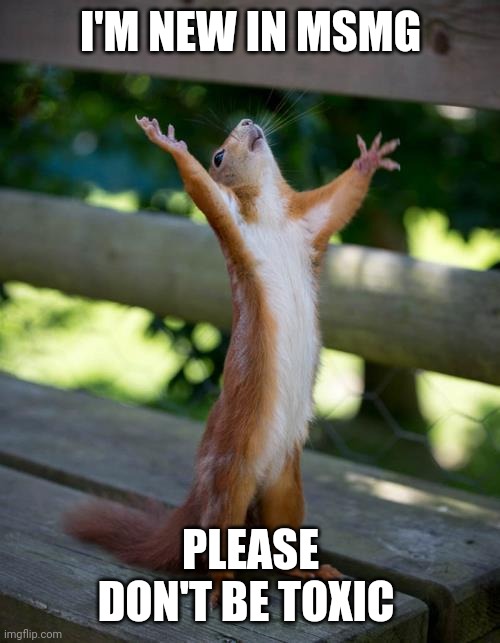 I'm praising god | I'M NEW IN MSMG; PLEASE DON'T BE TOXIC | image tagged in amen squirrel,memes,msmg | made w/ Imgflip meme maker