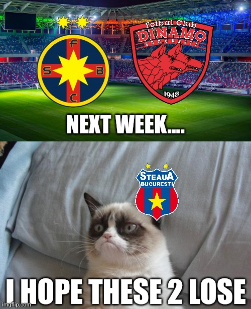 FCSB - Dinamo. The Romanian Clasico will be saturday 21:30 EET | NEXT WEEK.... I HOPE THESE 2 LOSE | image tagged in memes,grumpy cat bed,fcsb,dinamo,steaua,liga 1 | made w/ Imgflip meme maker