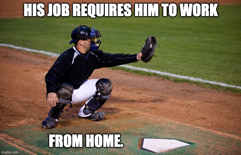 baseball | HIS JOB REQUIRES HIM TO WORK; FROM HOME. | image tagged in bad pun | made w/ Imgflip meme maker