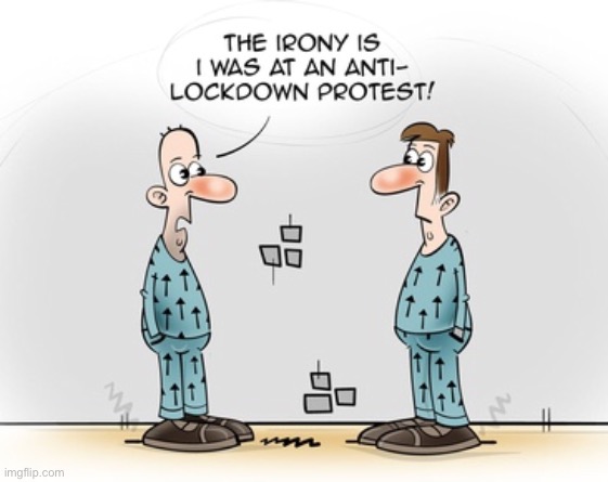 The irony of it all | image tagged in prisoners,irony is,anti lockdown,protest,comics | made w/ Imgflip meme maker