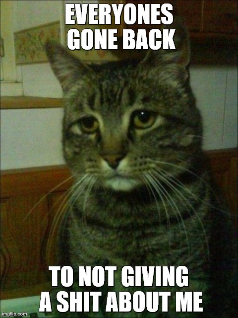 Depressed Cat | EVERYONES GONE BACK TO NOT GIVING A SHIT ABOUT ME | image tagged in memes,depressed cat | made w/ Imgflip meme maker