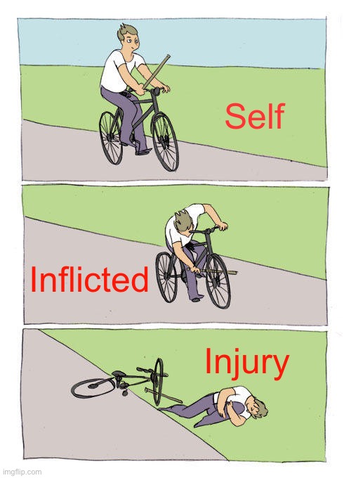 Self inflicted | Self; Inflicted; Injury | image tagged in memes,bike fall,self inflicted,injury,fun | made w/ Imgflip meme maker