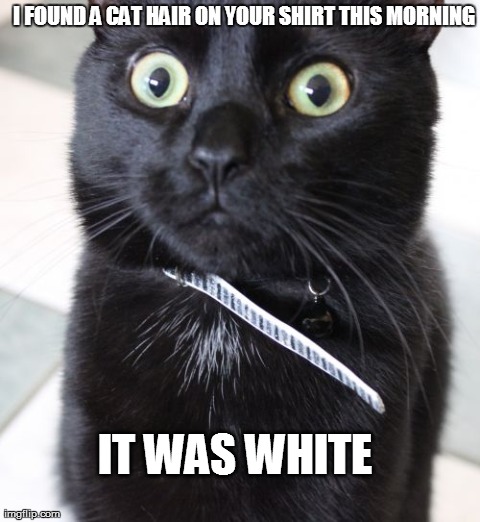 Woah Kitty | I FOUND A CAT HAIR ON YOUR SHIRT THIS MORNING IT WAS WHITE | image tagged in memes,woah kitty | made w/ Imgflip meme maker
