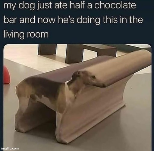 I've run out of ideas | image tagged in my dog just ate half a chocolate bar | made w/ Imgflip meme maker