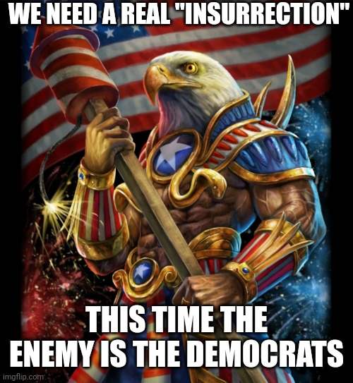 WE NEED A REAL "INSURRECTION" THIS TIME THE ENEMY IS THE DEMOCRATS | made w/ Imgflip meme maker