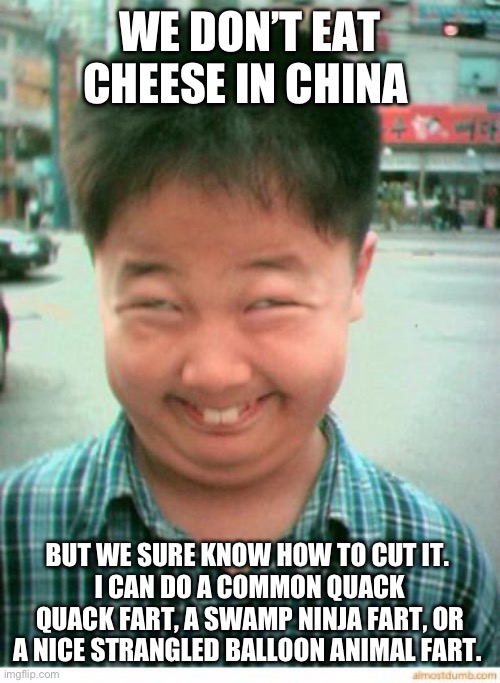 funny asian face | WE DON’T EAT CHEESE IN CHINA; BUT WE SURE KNOW HOW TO CUT IT. 
I CAN DO A COMMON QUACK QUACK FART, A SWAMP NINJA FART, OR A NICE STRANGLED BALLOON ANIMAL FART. | image tagged in funny asian face | made w/ Imgflip meme maker