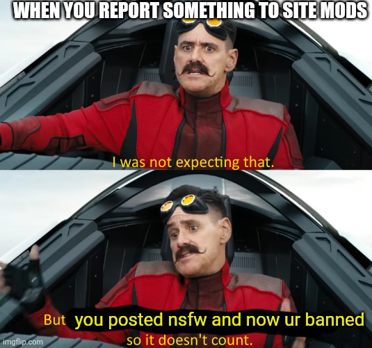(huge flipping facepalm) | WHEN YOU REPORT SOMETHING TO SITE MODS; you posted nsfw and now ur banned | image tagged in eggman i was not expecting that | made w/ Imgflip meme maker