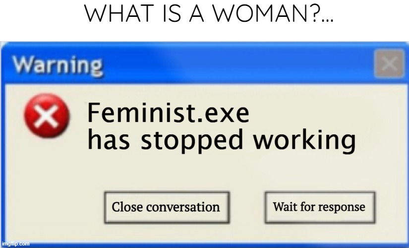 WHAT IS A WOMAN?... Close conversation; Wait for response | image tagged in funny,anti-feminism,politics lol | made w/ Imgflip meme maker