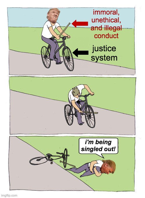 We need stricter laws governing who can buy a bike. | immoral, unethical, and illegal
conduct justice system i'm being
singled out! | image tagged in memes,bike fall,victim trump | made w/ Imgflip meme maker