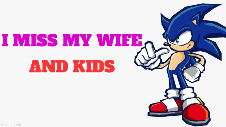 Sonic says | I MISS MY WIFE; AND KIDS | image tagged in sonic says | made w/ Imgflip meme maker