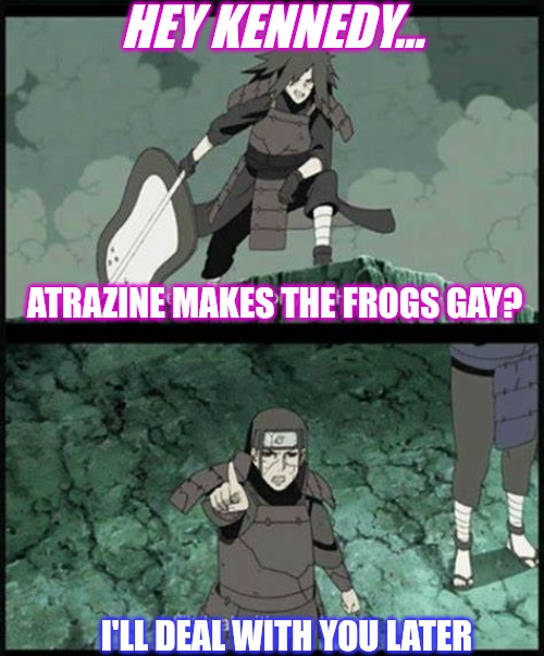 Bigger Fish to Fry | HEY KENNEDY... ATRAZINE MAKES THE FROGS GAY? I'LL DEAL WITH YOU LATER | image tagged in i'll deal with you later | made w/ Imgflip meme maker