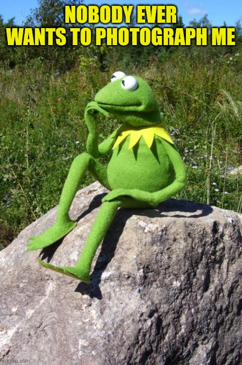 Kermit-thinking | NOBODY EVER WANTS TO PHOTOGRAPH ME | image tagged in kermit-thinking | made w/ Imgflip meme maker