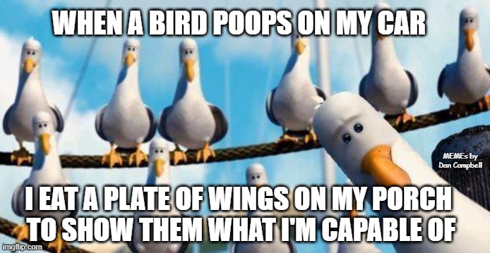 Nemo Birds | WHEN A BIRD POOPS ON MY CAR; MEMEs by Dan Campbell; I EAT A PLATE OF WINGS ON MY PORCH 
TO SHOW THEM WHAT I'M CAPABLE OF | image tagged in nemo birds | made w/ Imgflip meme maker
