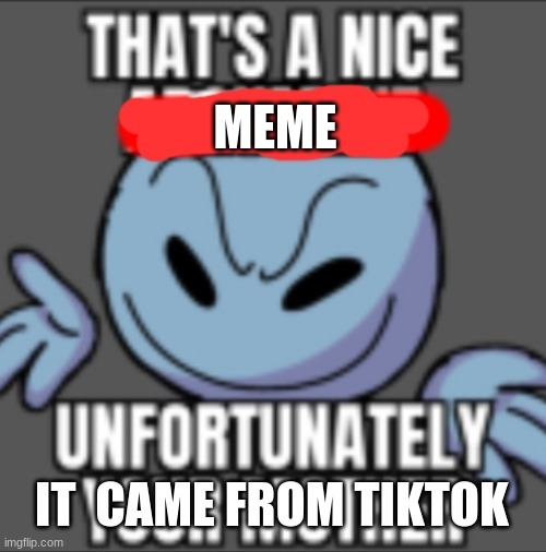 That's a nice. Unfortunately your mother | MEME IT  CAME FROM TIKTOK | image tagged in that's a nice unfortunately your mother | made w/ Imgflip meme maker