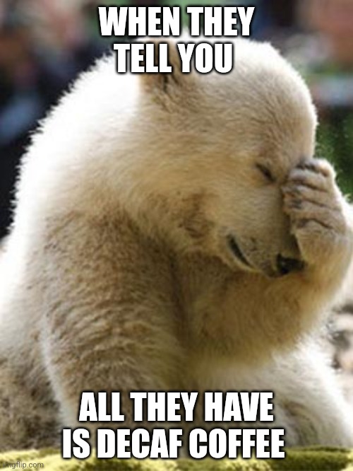 Facepalm Bear Meme | WHEN THEY TELL YOU; ALL THEY HAVE IS DECAF COFFEE | image tagged in memes,facepalm bear | made w/ Imgflip meme maker