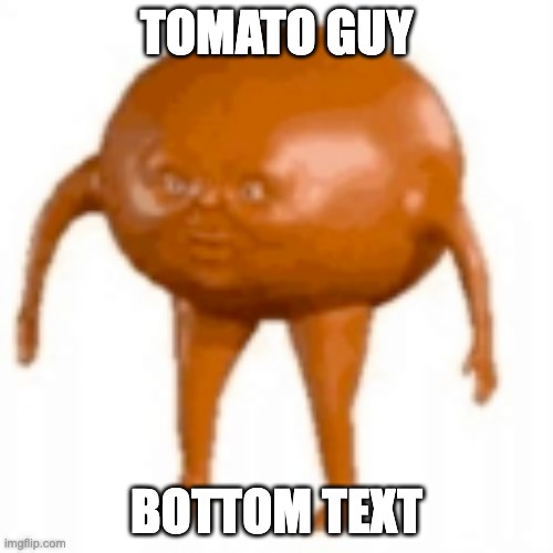 tomato guy | TOMATO GUY; BOTTOM TEXT | image tagged in tomato guy | made w/ Imgflip meme maker