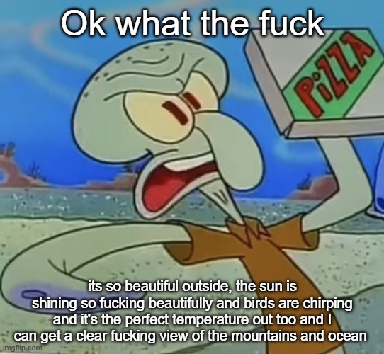 squidward mad | Ok what the fuck; its so beautiful outside, the sun is shining so fucking beautifully and birds are chirping and it's the perfect temperature out too and I can get a clear fucking view of the mountains and ocean | image tagged in squidward mad | made w/ Imgflip meme maker