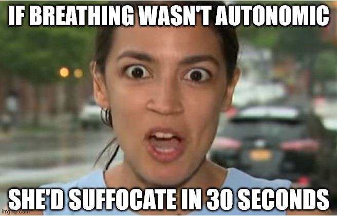 AOC breathing?? | IF BREATHING WASN'T AUTONOMIC; SHE'D SUFFOCATE IN 30 SECONDS | image tagged in aoc in space,aoc,memes,democrat,facebook,youtube | made w/ Imgflip meme maker