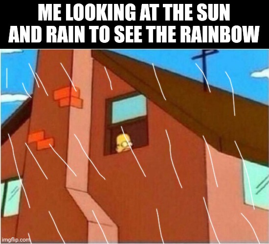 Homer Window | ME LOOKING AT THE SUN AND RAIN TO SEE THE RAINBOW | image tagged in homer window | made w/ Imgflip meme maker