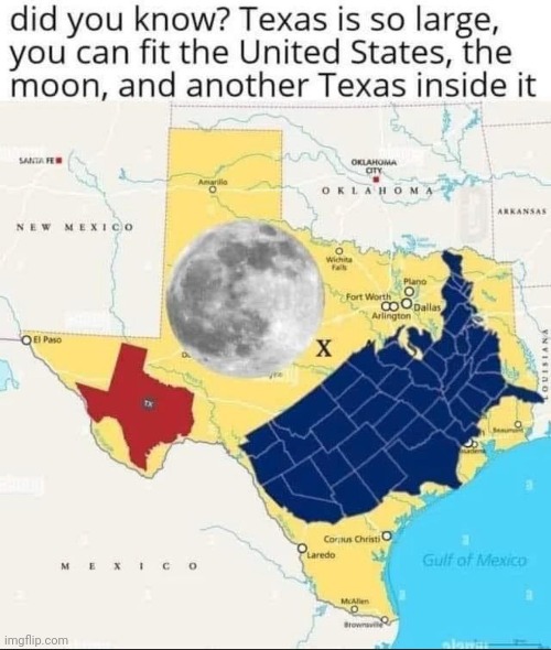 Texans Agree | image tagged in memes,funny,texas | made w/ Imgflip meme maker