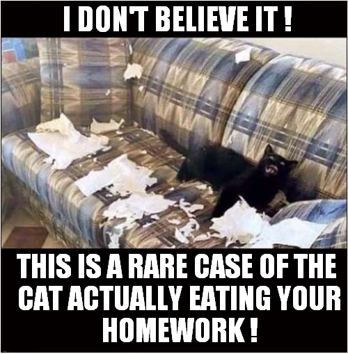Sometimes Excuses Can Be True ! | I DON'T BELIEVE IT ! THIS IS A RARE CASE OF THE
 CAT ACTUALLY EATING YOUR
 HOMEWORK ! | image tagged in cats,destroyed,homework | made w/ Imgflip meme maker