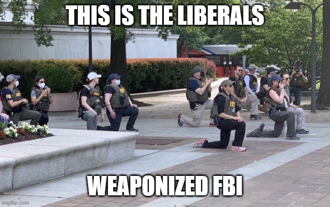 The Weaponized FBI | THIS IS THE LIBERALS; WEAPONIZED FBI | image tagged in the weaponized fbi | made w/ Imgflip meme maker