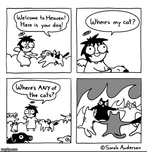 Cats | image tagged in cats,cat,comics/cartoons | made w/ Imgflip meme maker