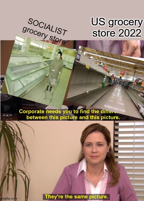 SOCIALISUM is socialisum no matter what you call it.. | US grocery store 2022; SOCIALIST grocery store | image tagged in democrats,nwo | made w/ Imgflip meme maker