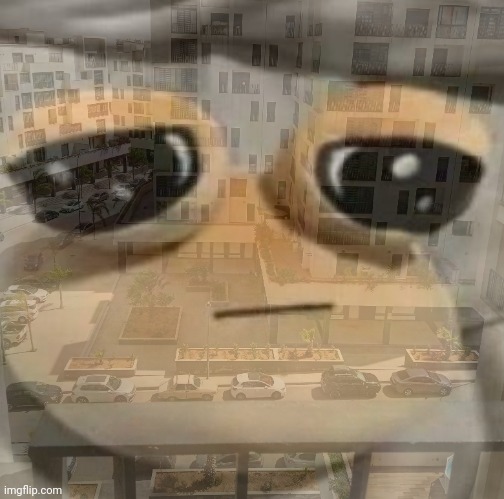 balcony reveal (not taking the pou off the photo im not risking getting doxxed) | made w/ Imgflip meme maker