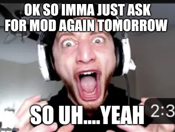 THE HELL?! | OK SO IMMA JUST ASK FOR MOD AGAIN TOMORROW; SO UH....YEAH | image tagged in the hell | made w/ Imgflip meme maker