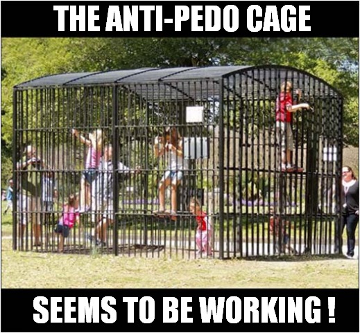 Modern Park Life ! | THE ANTI-PEDO CAGE; SEEMS TO BE WORKING ! | image tagged in park life,pedo,cage,dark humour | made w/ Imgflip meme maker