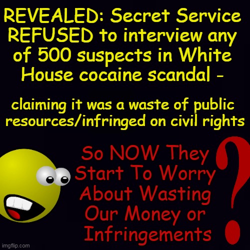 Partisan Politics for Radicals | REVEALED: Secret Service 
REFUSED to interview any 
of 500 suspects in White 
House cocaine scandal -; claiming it was a waste of public 
resources/infringed on civil rights; So NOW They 
Start To Worry 
About Wasting 
Our Money or 
Infringements | image tagged in politics,democrats,cocaine,white house,you can't make this stuff up,secret service | made w/ Imgflip meme maker