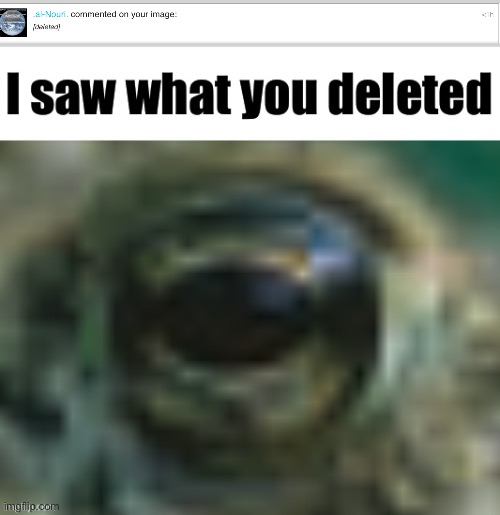 I saw what you deleted | image tagged in i saw what you deleted | made w/ Imgflip meme maker