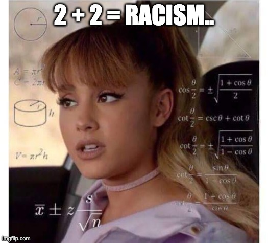Ariana Grande does math | 2 + 2 = RACISM.. | image tagged in ariana grande does math | made w/ Imgflip meme maker