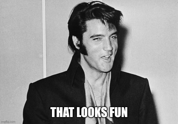 Elvis | THAT LOOKS FUN | image tagged in elvis | made w/ Imgflip meme maker
