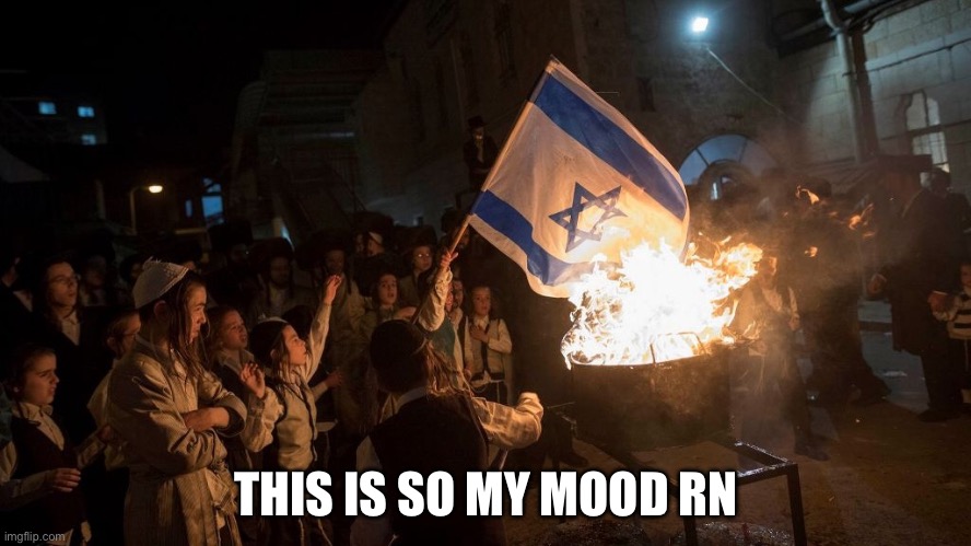 Burning the Israeli flag | THIS IS SO MY MOOD RN | image tagged in burning the israeli flag | made w/ Imgflip meme maker