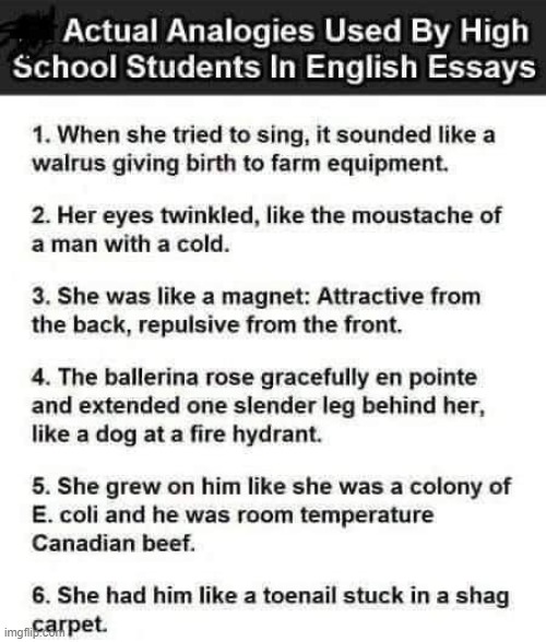 Actual Essays | image tagged in real life | made w/ Imgflip meme maker