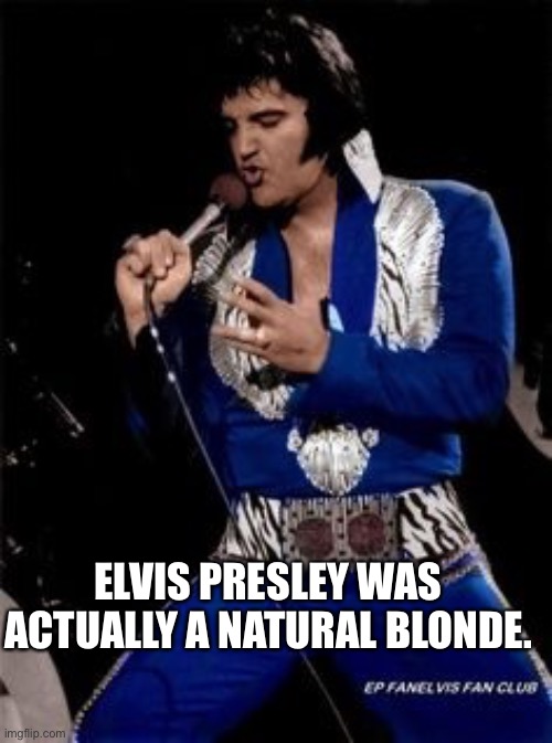 Elvis presley  | ELVIS PRESLEY WAS ACTUALLY A NATURAL BLONDE. | image tagged in elvis presley | made w/ Imgflip meme maker