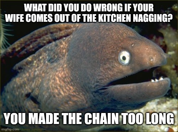 Bad Joke Eel | WHAT DID YOU DO WRONG IF YOUR WIFE COMES OUT OF THE KITCHEN NAGGING? YOU MADE THE CHAIN TOO LONG | image tagged in memes,bad joke eel | made w/ Imgflip meme maker