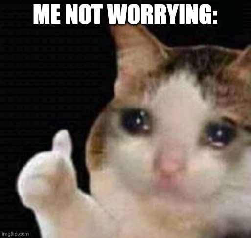 sad thumbs up cat | ME NOT WORRYING: | image tagged in sad thumbs up cat | made w/ Imgflip meme maker